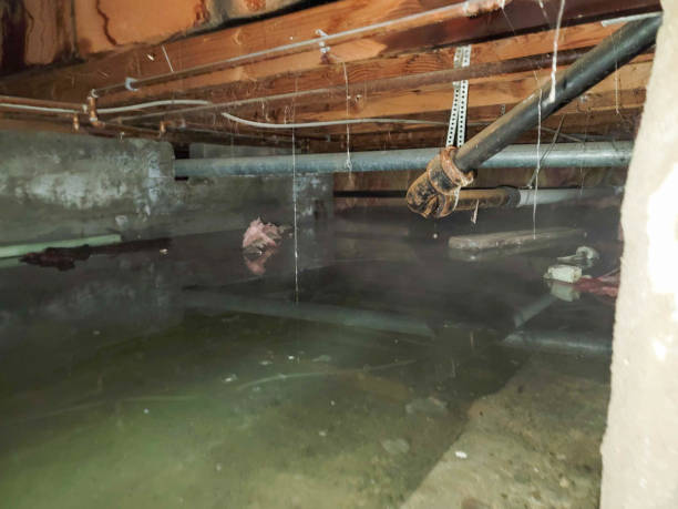 Best Water damage restoration cost  in Springfield, MO