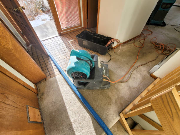 Best Carpet water damage restoration  in Springfield, MO