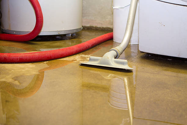 Best Carpet water damage restoration  in Springfield, MO