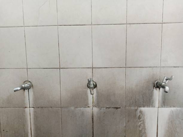 Best Water damage contractors near me  in Springfield, MO