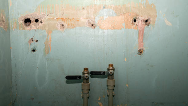 Best Flood restoration services  in Springfield, MO