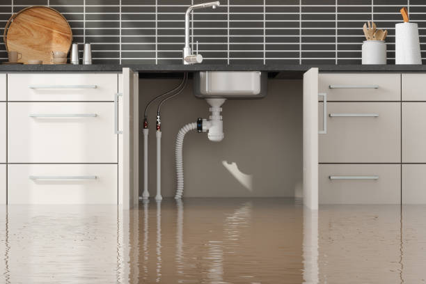 Best Water damage mitigation services  in Springfield, MO