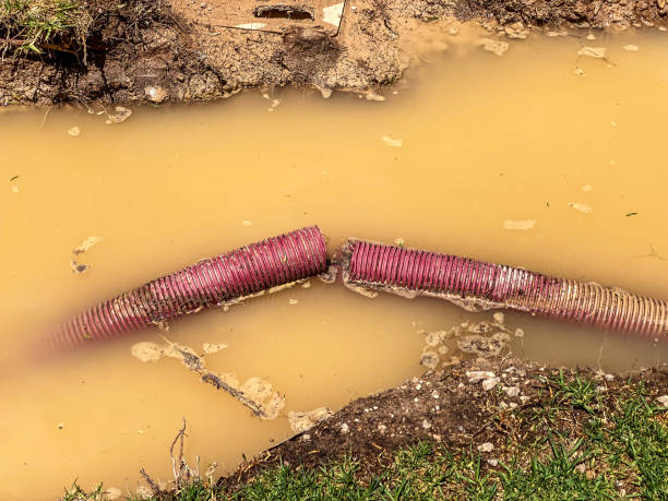 Best 24-hour water damage restoration  in Springfield, MO